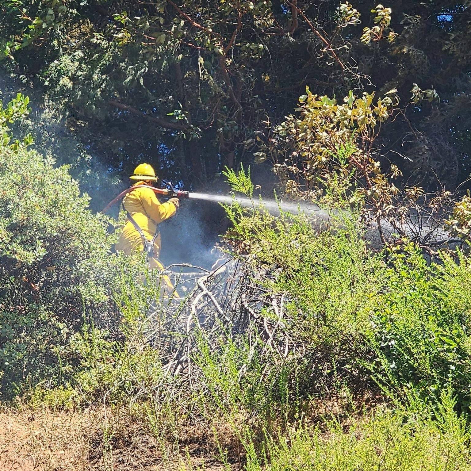 Firefighter dousing a small fire with water amidst vegetation.