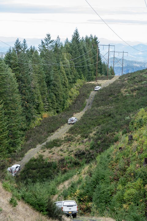 Four white trucks on a dirt trail, lined with trees and power lines, in a hilly forest landscape.