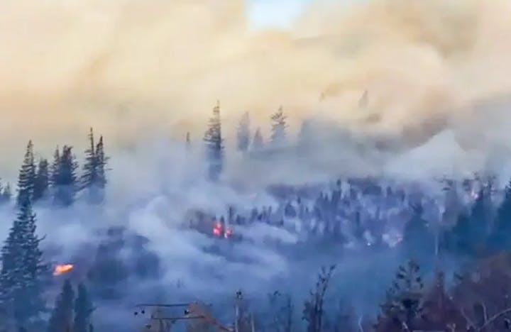 Forest with smoke and flames indicating a wildfire, surrounded by trees.