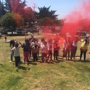 May contain: grass, nature, outdoors, park, plant, people, person, tree, car, transportation, vehicle, and vegetation