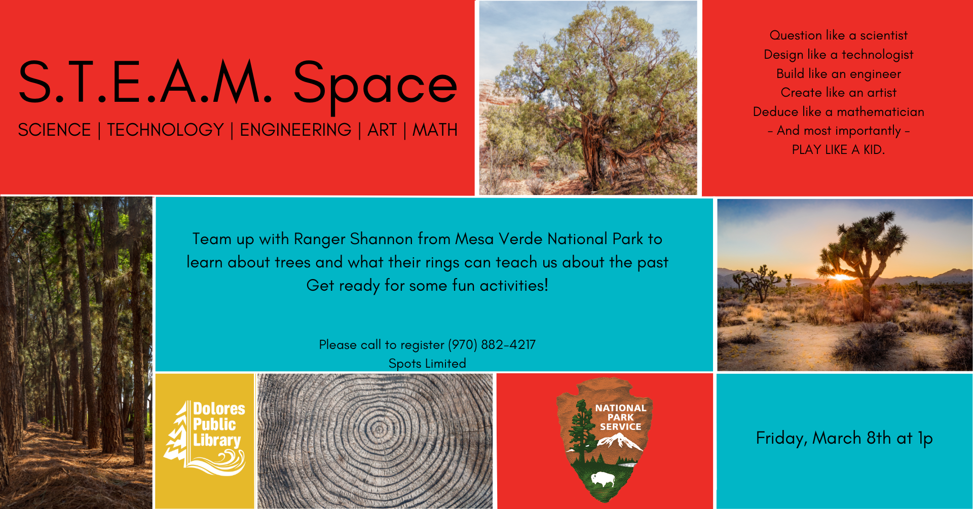 Educational program flyer for learning about trees and their rings with Ranger Shannon, incorporating S.T.E.A.M. concepts; registration required.