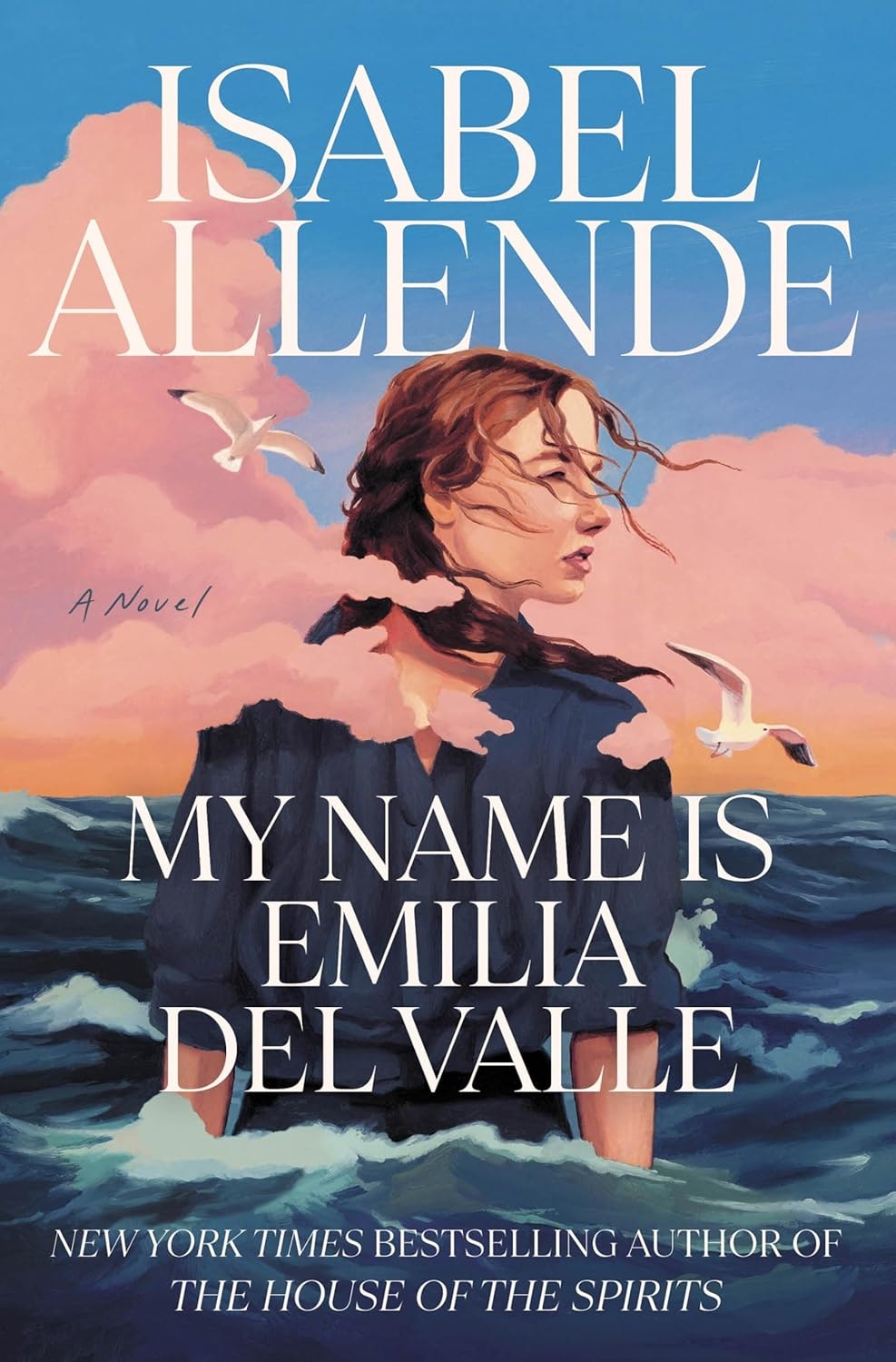 Book cover: "My Name is Emilia Del Valle" by Isabel Allende. Features a woman, ocean, seagulls, and pink clouds.