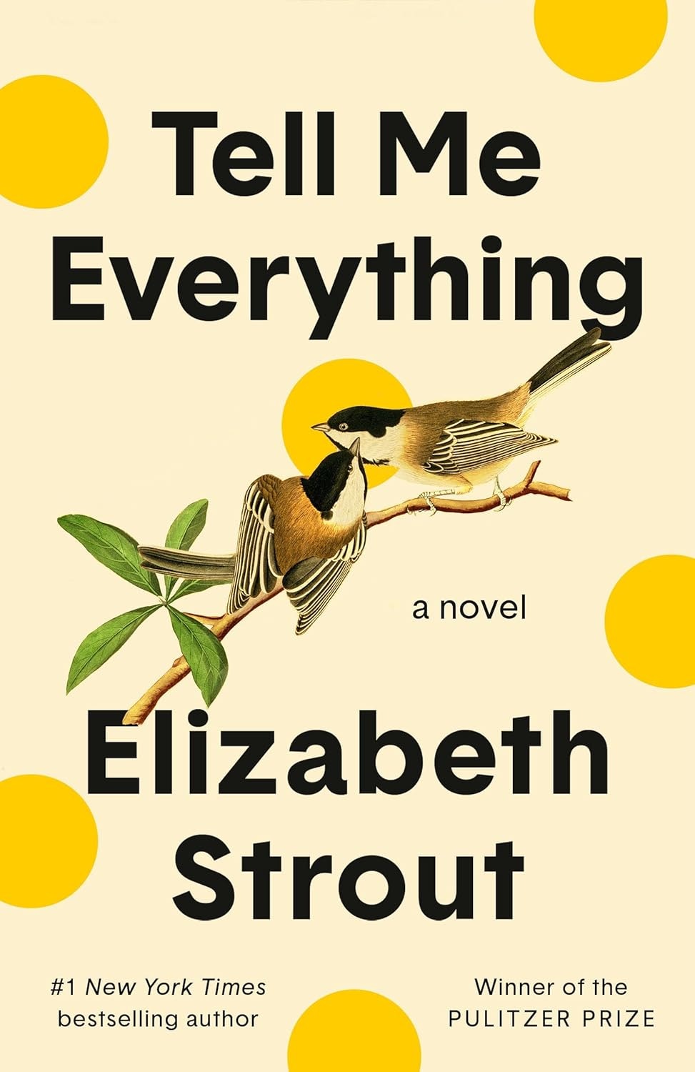 A book cover titled "Tell Me Everything" by Elizabeth Strout, featuring an illustration of birds on a branch with yellow circles.