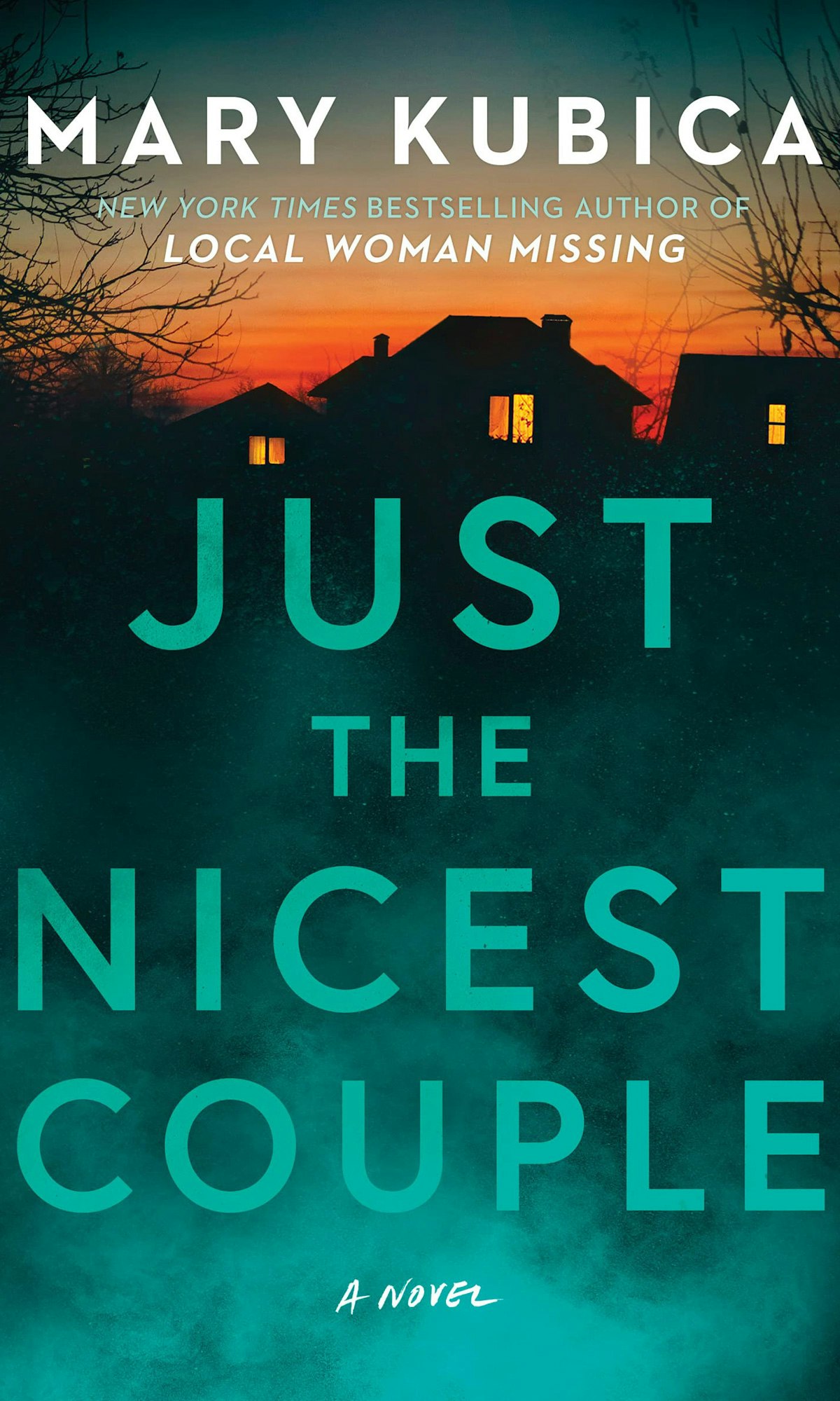 May contain: book, publication, and novel