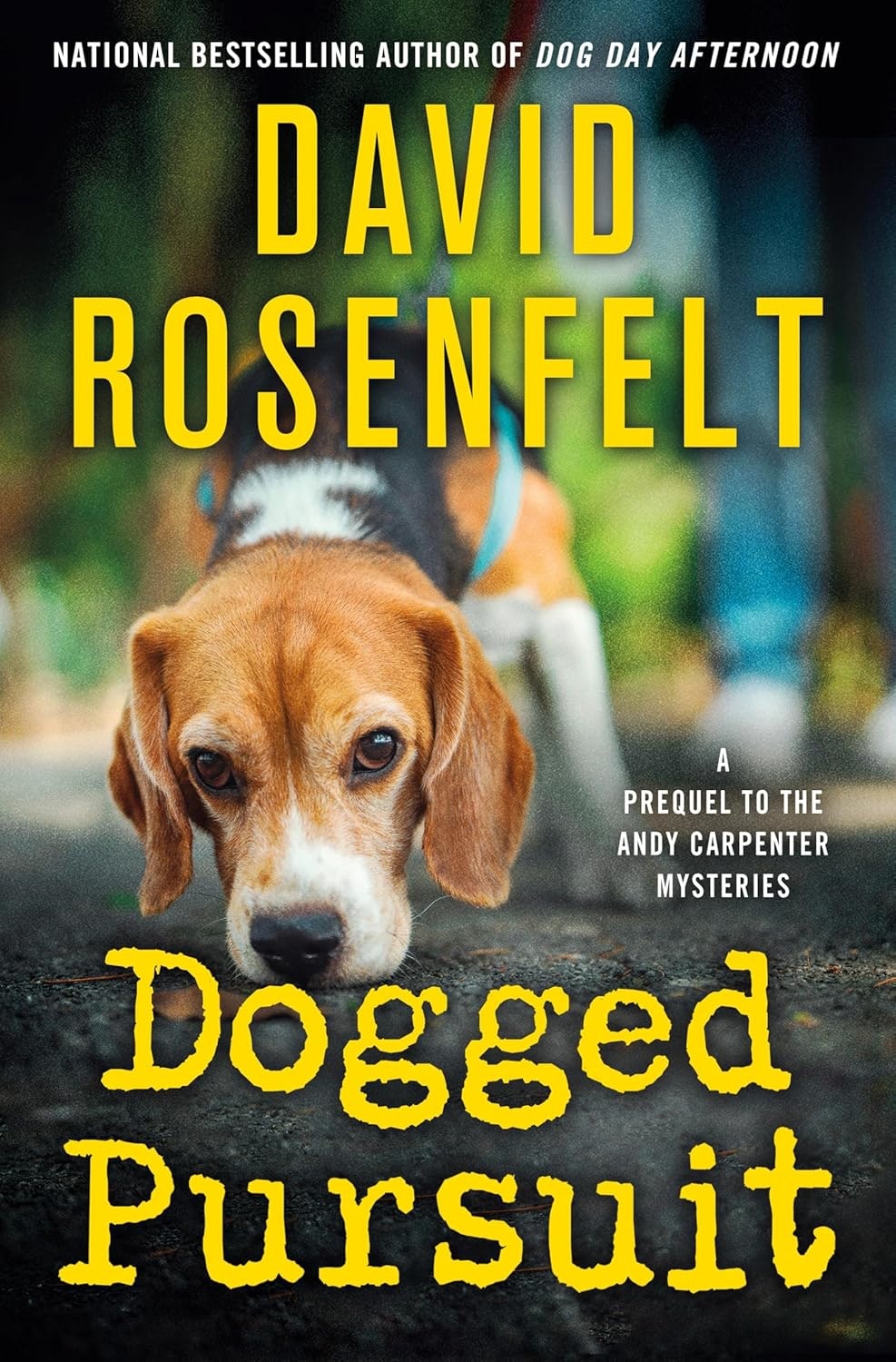 Book cover: "Dogged Pursuit" by David Rosenfelt featuring a dog. Prequel to Andy Carpenter mysteries.
