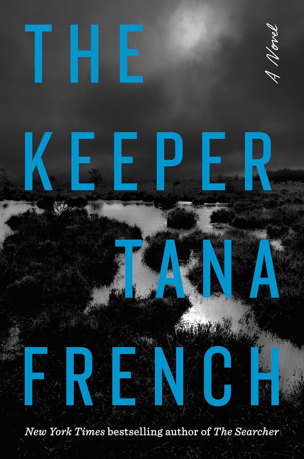 The image showcases the book cover of "The Keeper" by Tana French, featuring a dark, atmospheric design with blue typography.