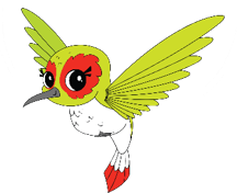 moxie the hummingbird