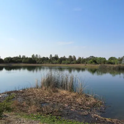 May contain: nature, outdoors, pond, water, and lake