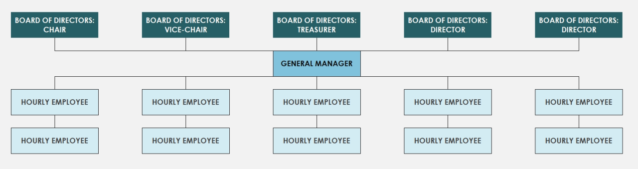 flow chart showing corporate structure