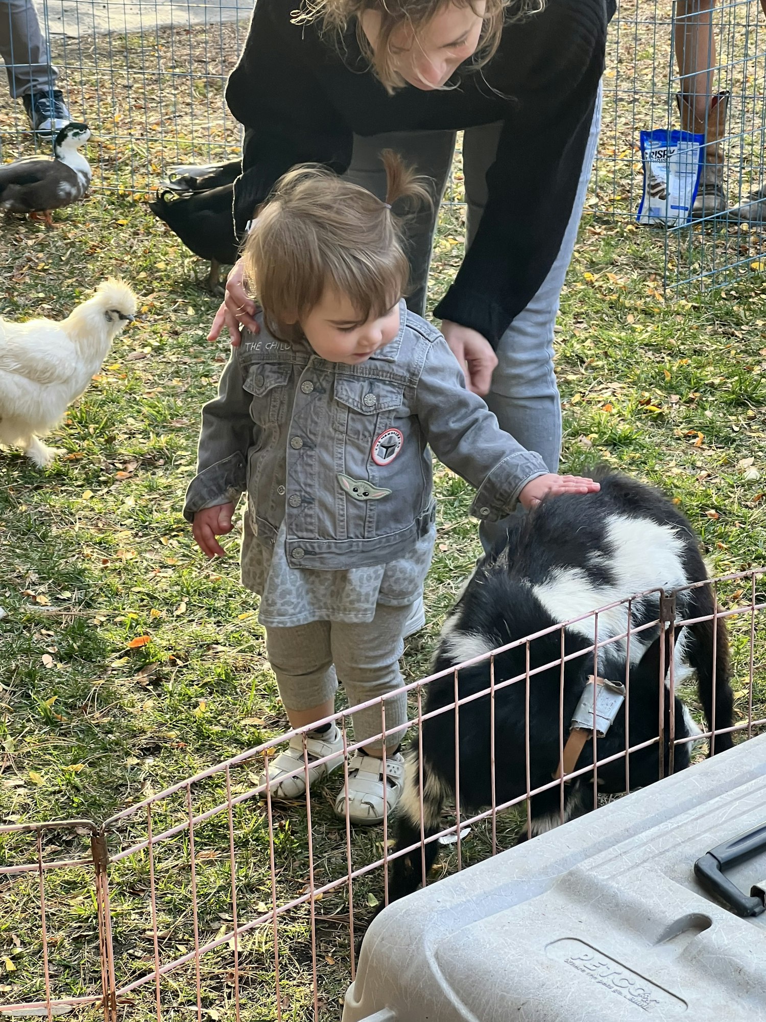 May contain: person, human, animal, and bird