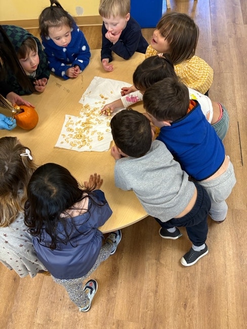 Children gathered around a table examining pumpkin seeds on paper towels.
