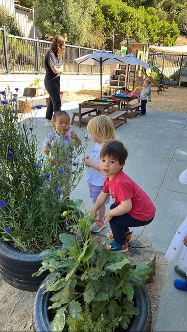 Children playing outside near plants and a table, with an adult supervising in the background.