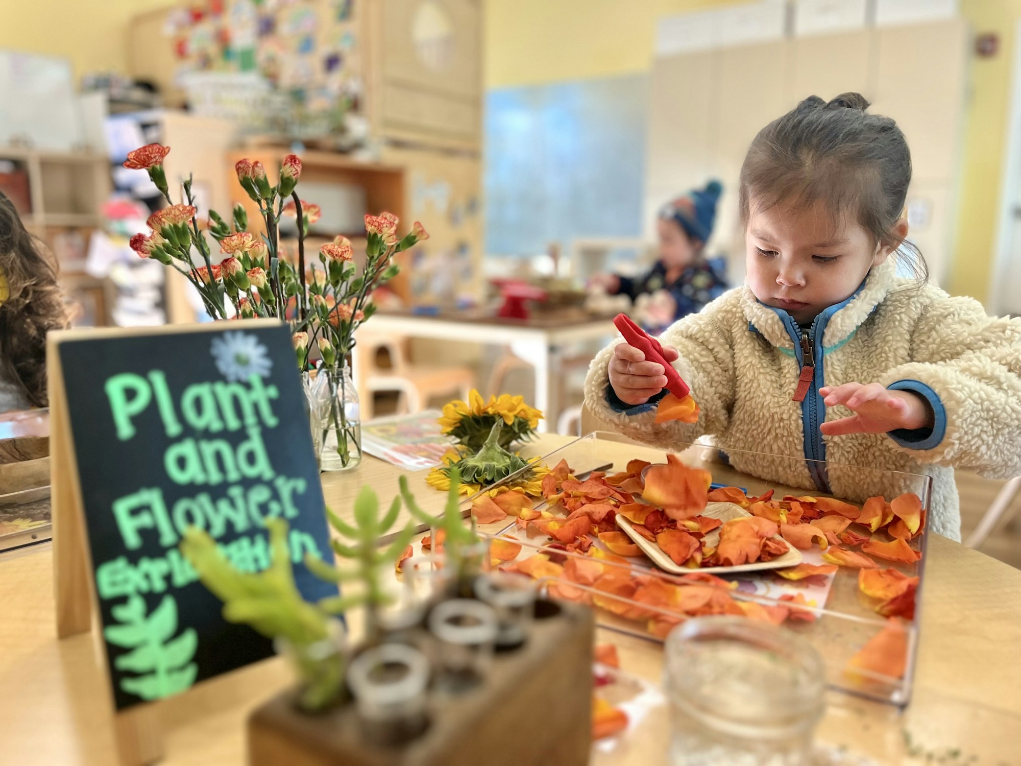 May contain: food, lunch, meal, body part, finger, hand, person, cafeteria, indoors, restaurant, flower, flower arrangement, and plant