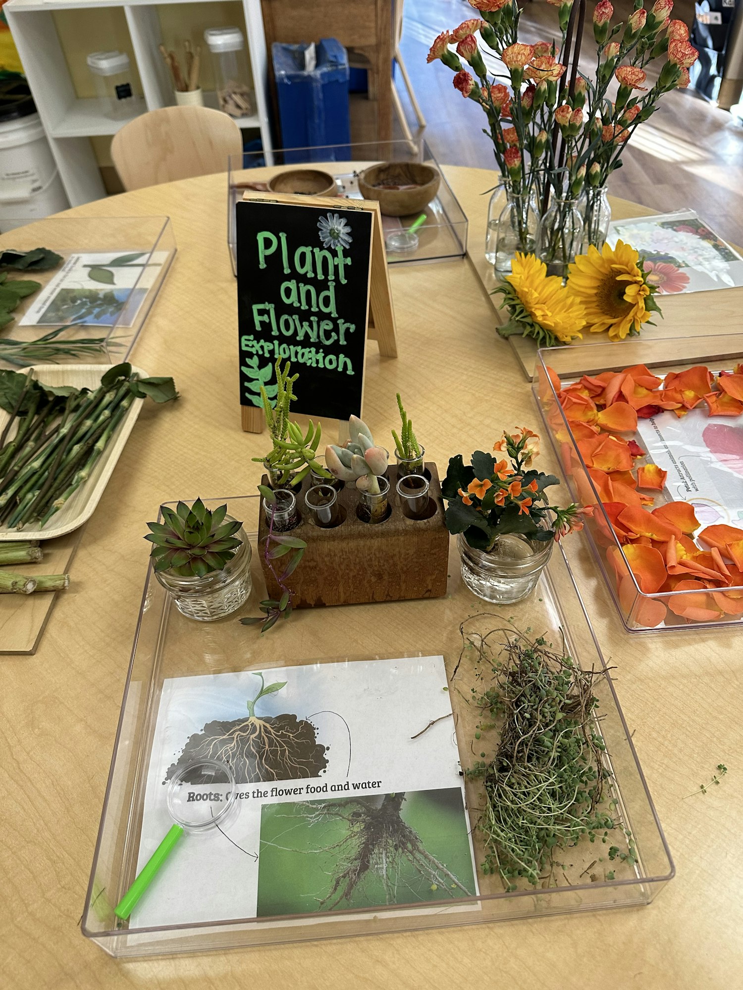 May contain: flower, flower arrangement, plant, flower bouquet, potted plant, ikebana, furniture, table, herbal, herbs, wood, chair, and plywood