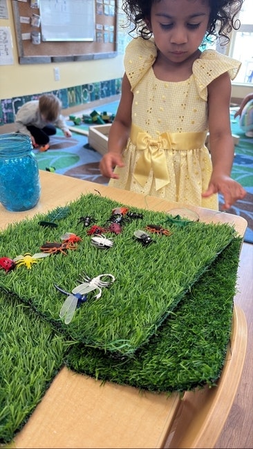 A child in a yellow dress stands near a table with artificial grass mats and toy insects. A jar of blue objects is also on the table.