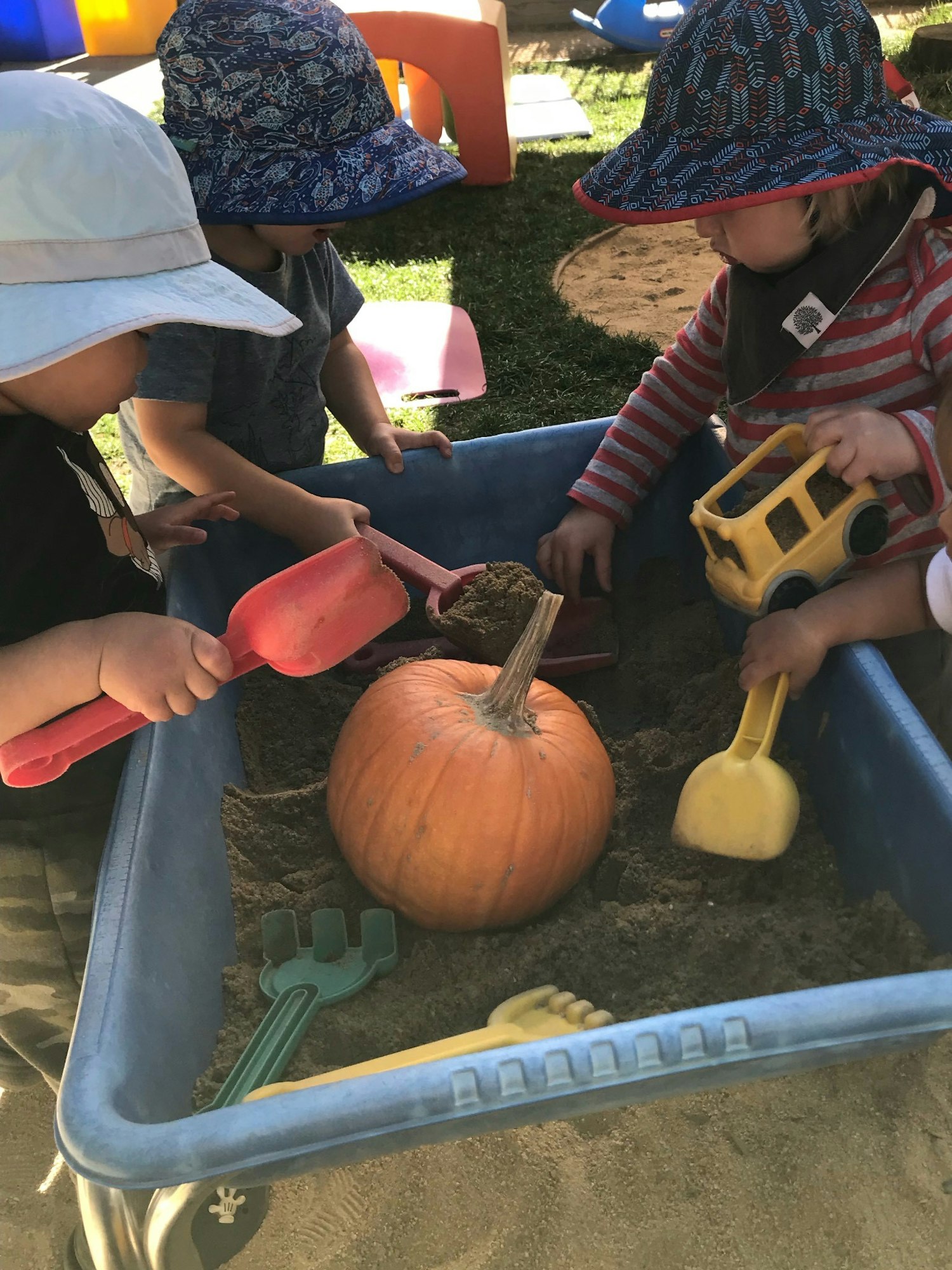 May contain: plant, person, human, pumpkin, food, vegetable, clothing, and apparel