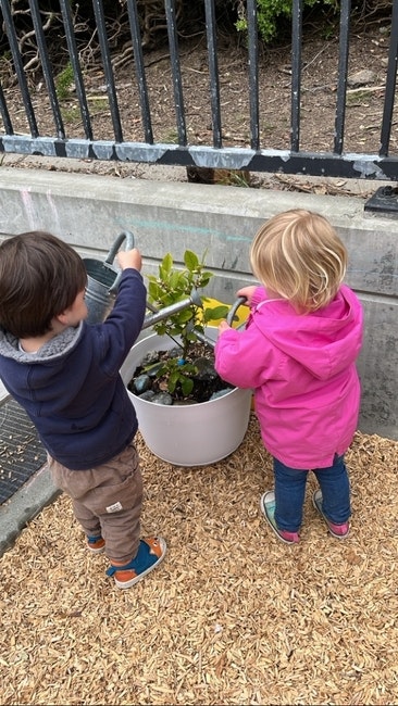 Two children watering a plant in a white pot near a fence, standing on wood chips.