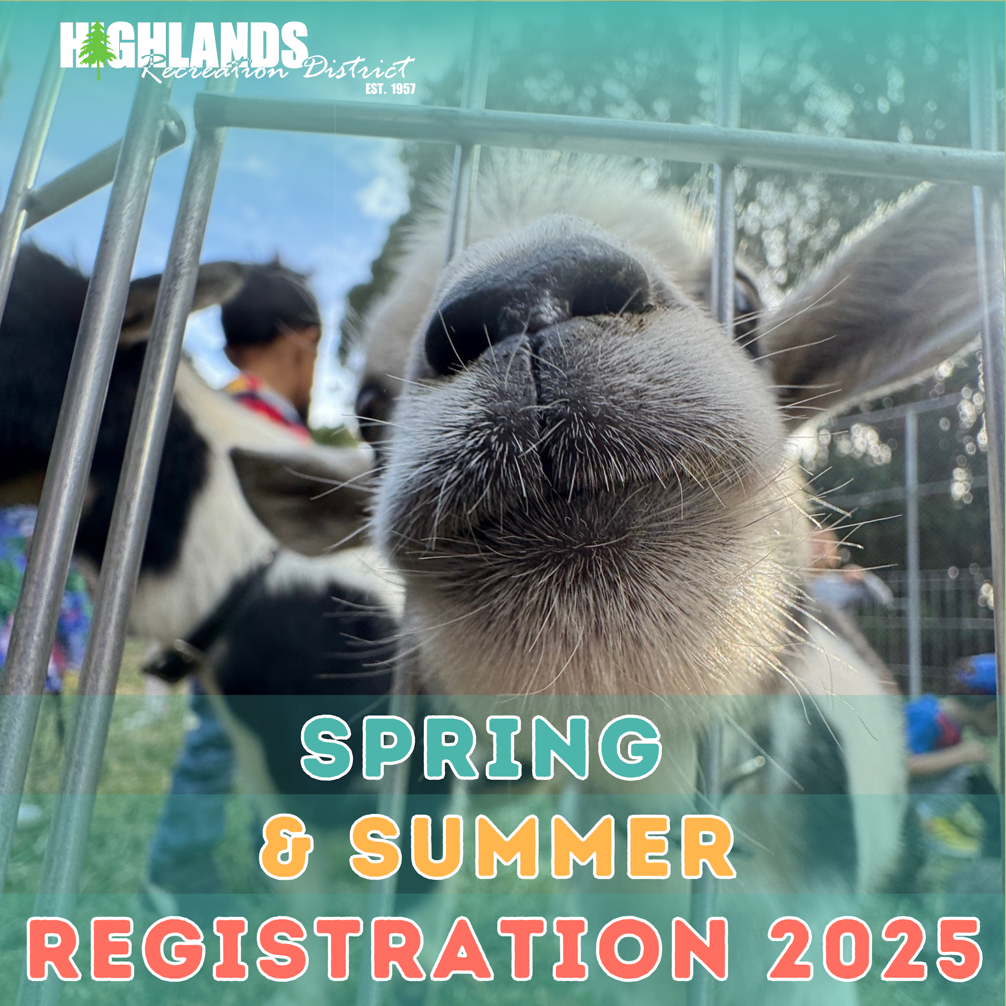 Close-up of a goat's nose through a fence, text reads: "Spring & Summer Registration 2025, Highlands Recreation District."