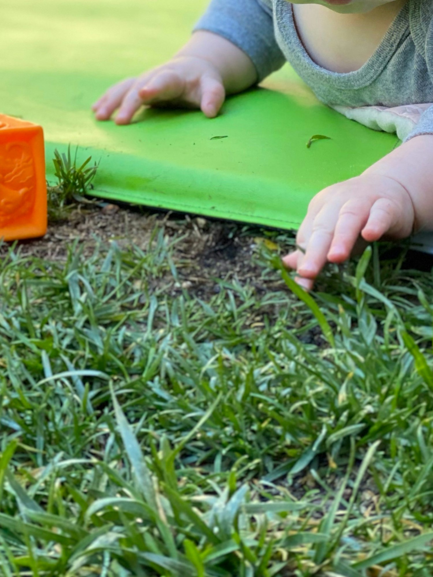 May contain: grass, plant, person, and human