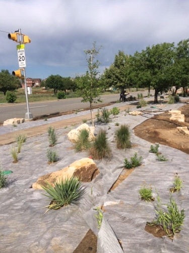 A streetside landscape under development with young trees, shrubs, rocks, and landscaping fabric under a cloudy sky.