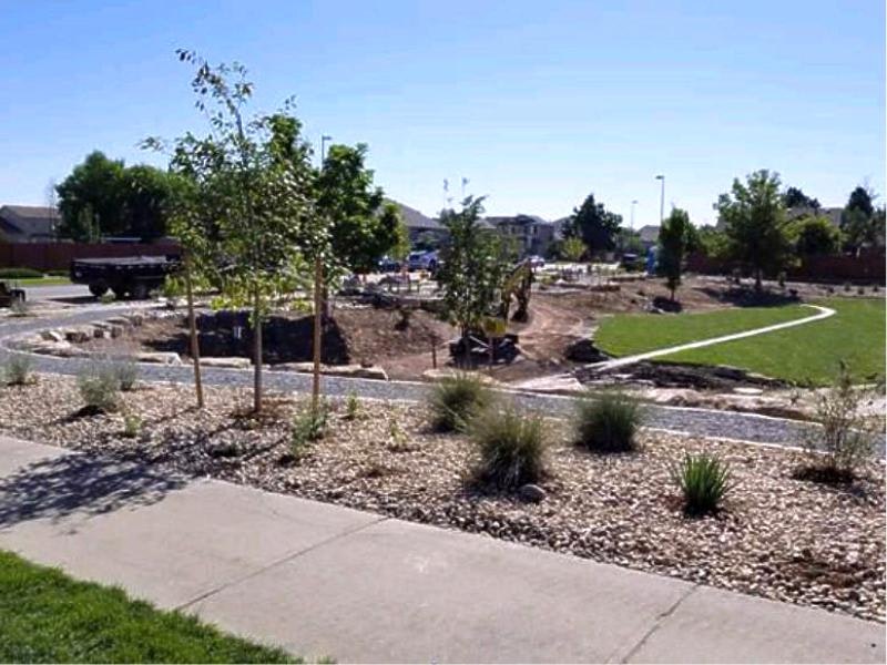 A park with young trees, a winding path, landscaping rocks, grasses, and a backhoe in the distance under a clear sky.