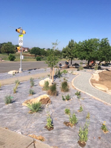 A landscaped area with young plants, rocks, curved pathway and a street sign, under a clear blue sky.
