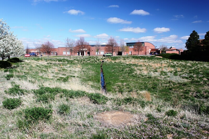 A field with a narrow path, flowering tree, and buildings under a blue sky.