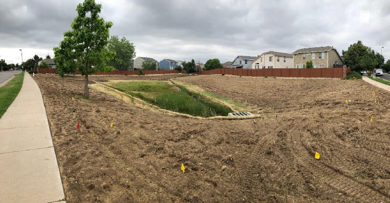 A sidewalk alongside a recently disturbed grassy area with young tree plantings and a stormwater drainage ditch.