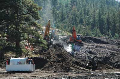 Photo of construction equipment in a forest