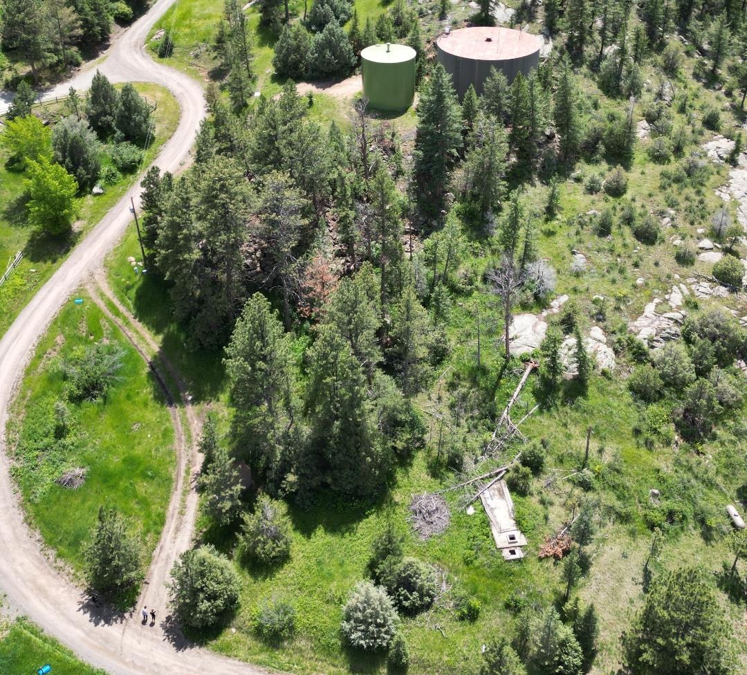 May contain: land, nature, outdoors, plant, tree, vegetation, woodland, road, architecture, building, aerial view, and fir