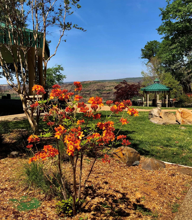 A scenic outdoor area features vibrant orange flowers, green grass, rocky elements, and a gazebo under a clear blue sky.