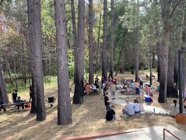 Community members enjoying the new Crain Park surrounded by vegetation, woodland, land, tree, outdoors, plant, nature, forest, person, human, grass, meal, and food