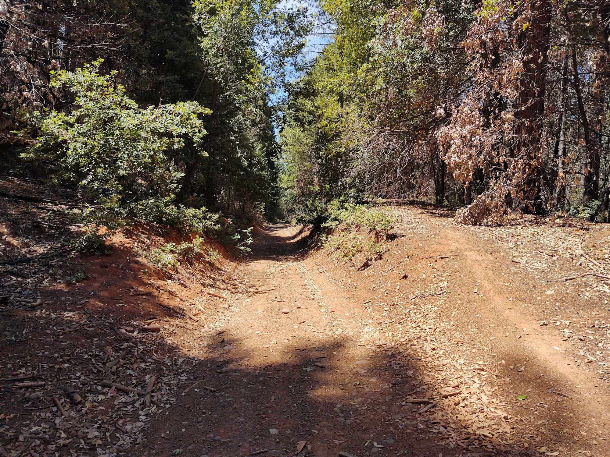 May contain: gravel, dirt road, road, and ground