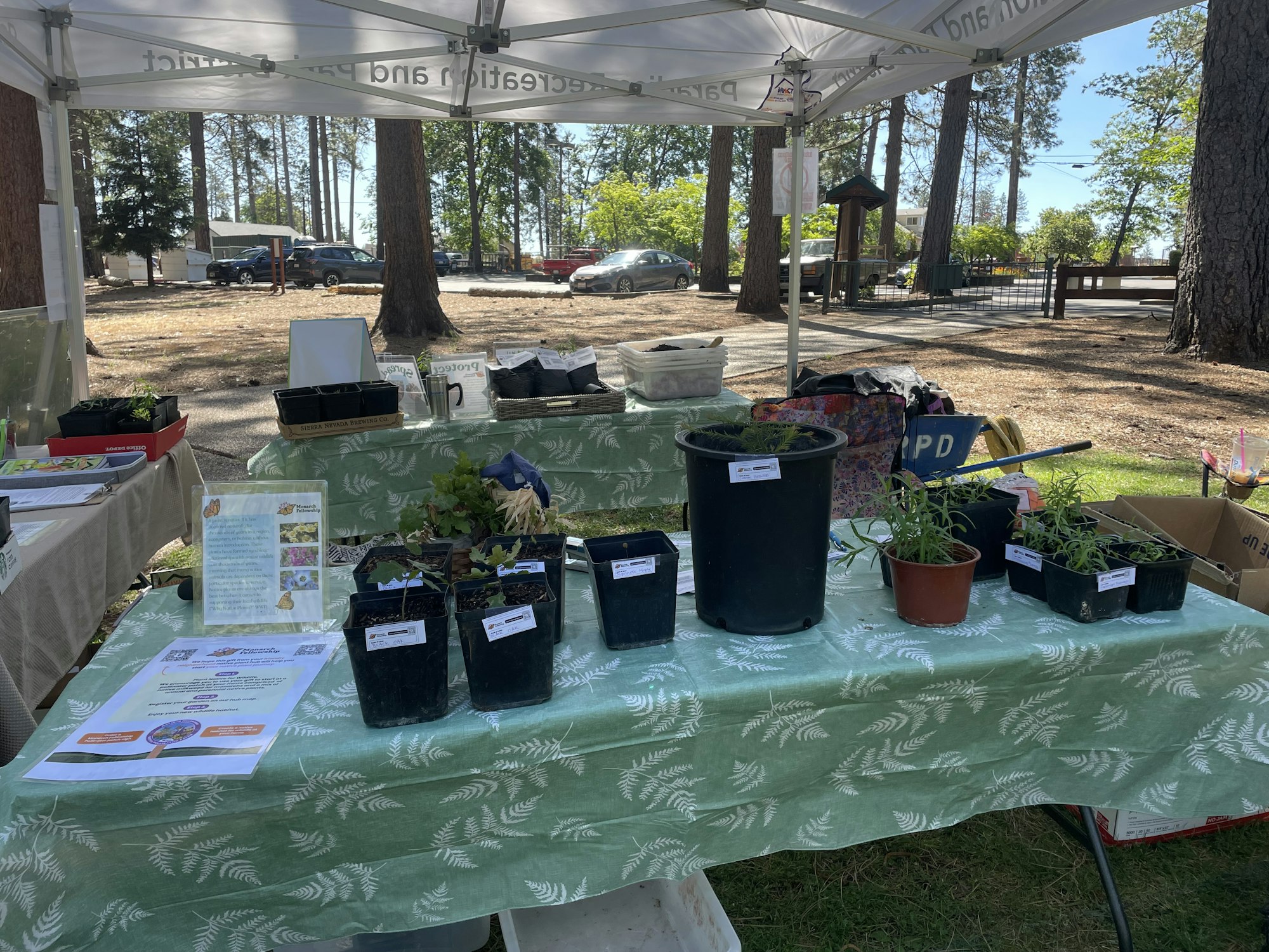 A table under a tent displays various potted plants, gardening materials, and informational pamphlets in a park setting.