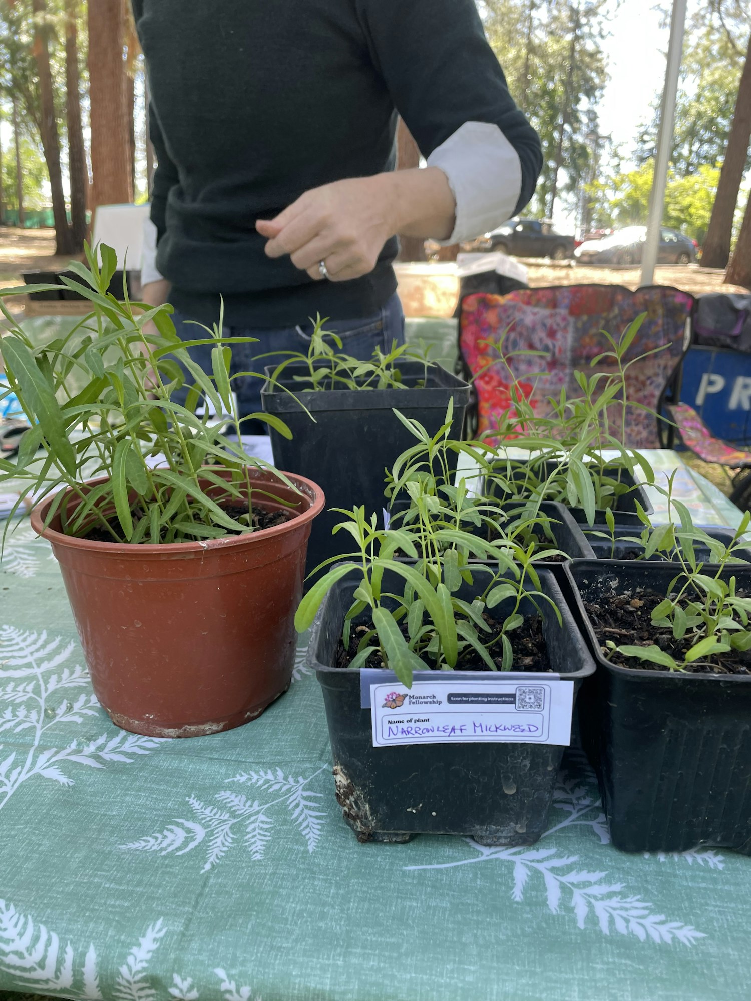 The image shows a table with potted plants, including a labeled plant, and a person with a hand in view.