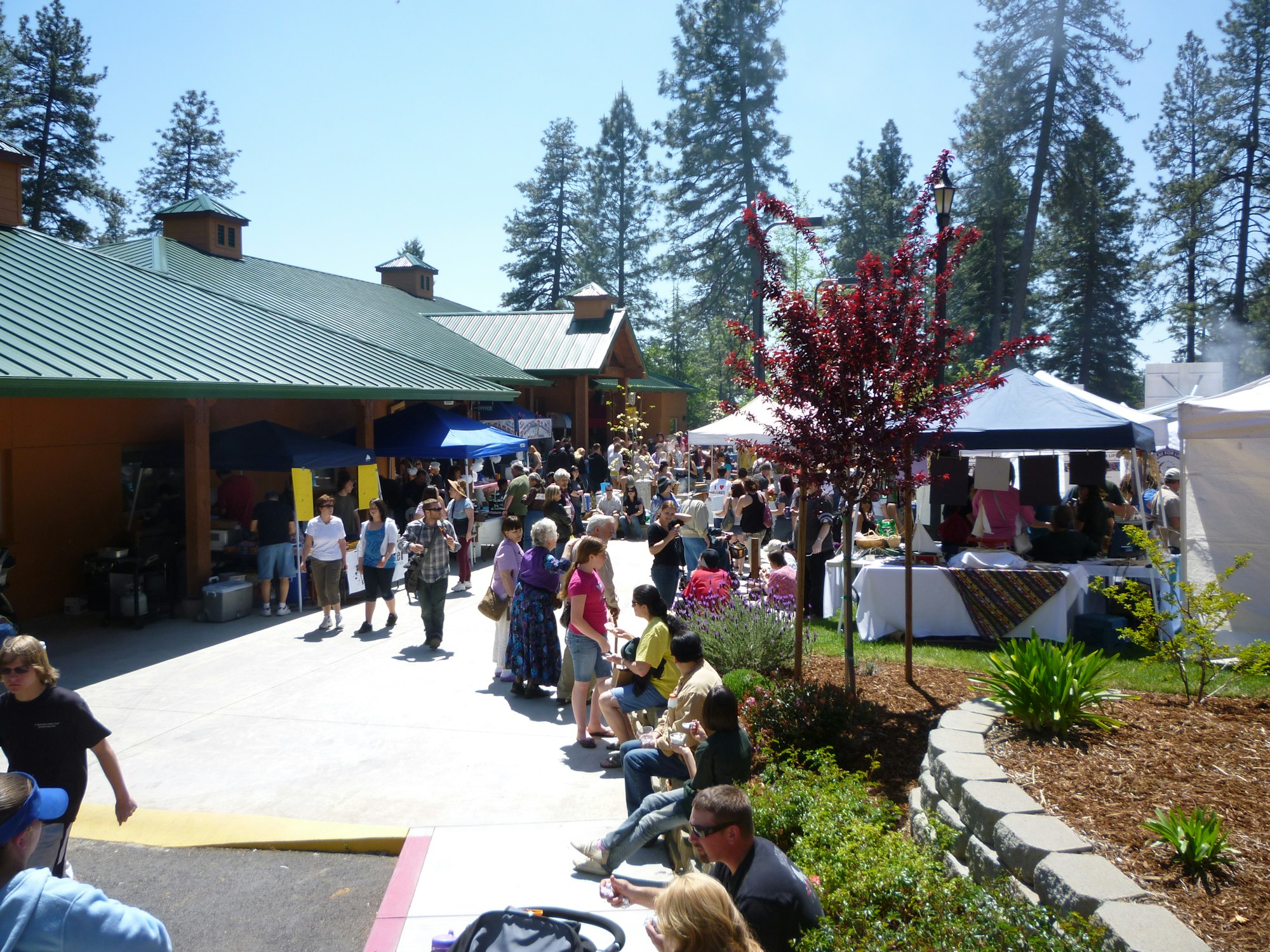 adults, children and babies gathered at an event at Terry Ashe Recreation Center in Paradise