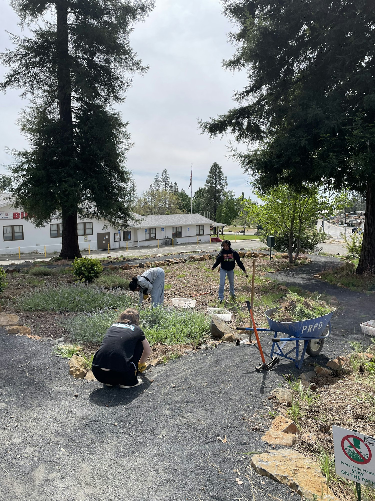 People working in a garden, using tools and a wheelbarrow, surrounded by trees and greenery.