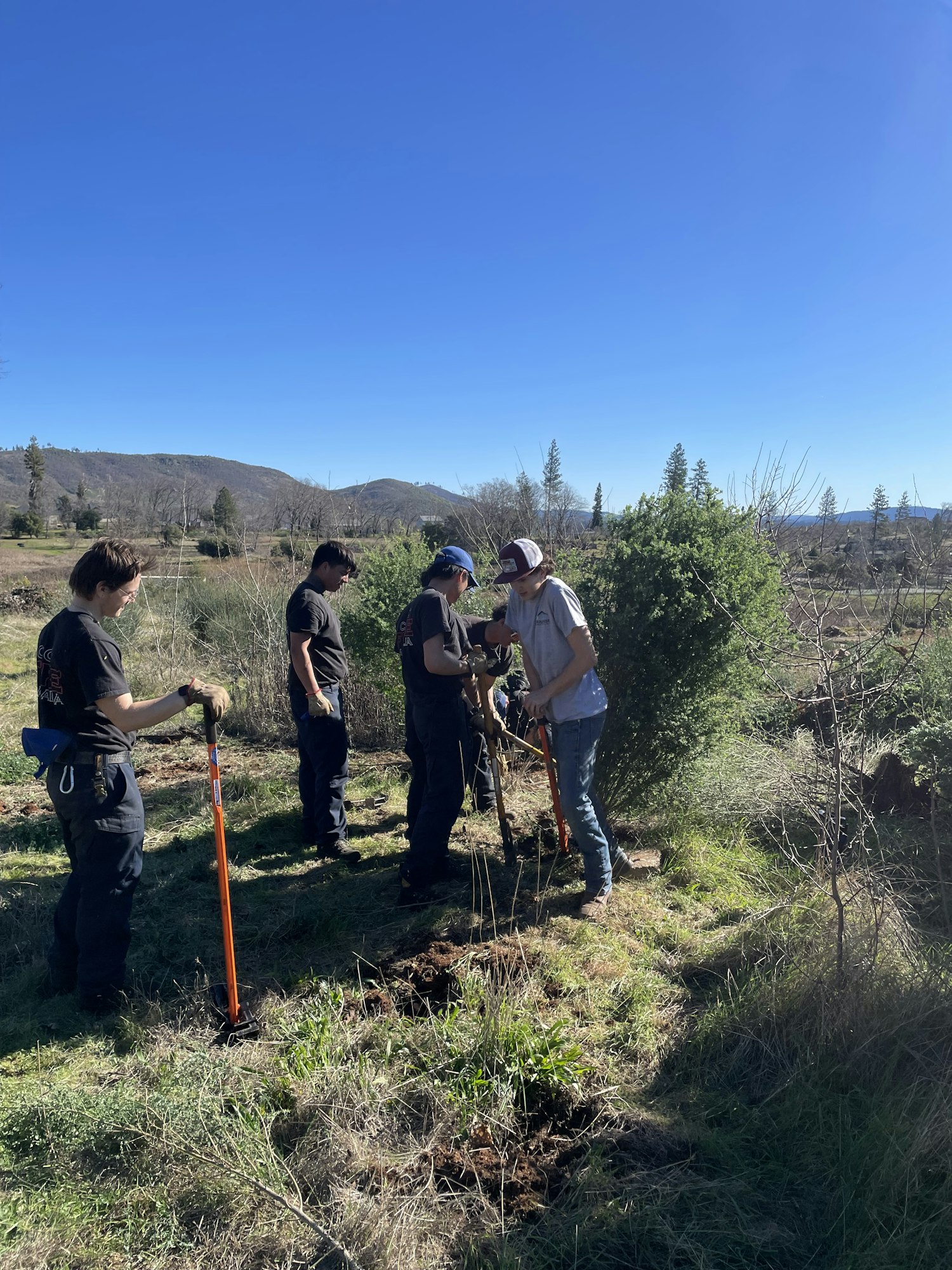 A group of people in a natural setting, engaged in planting or gardening activities under a clear blue sky.