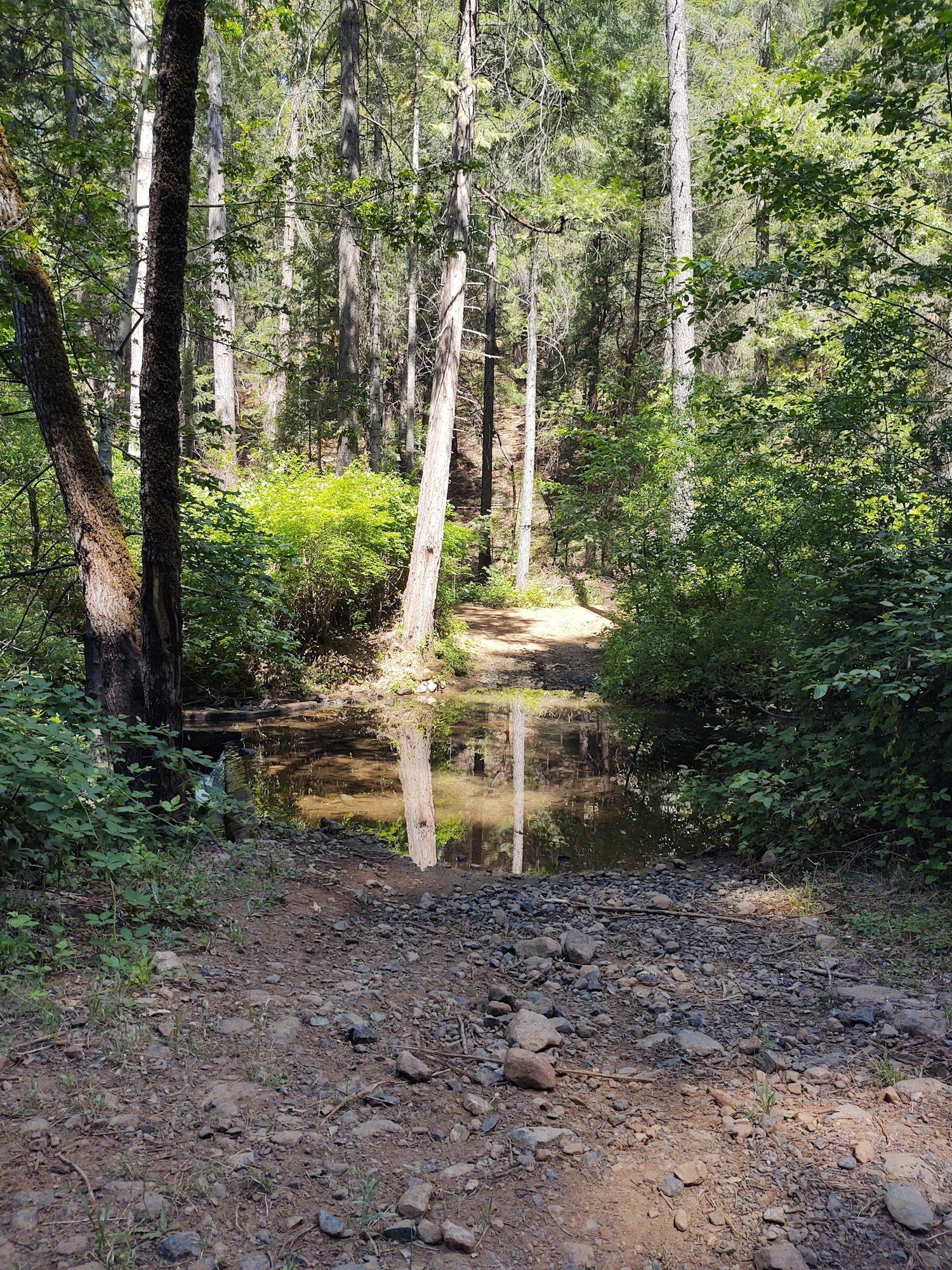 May contain: gravel, dirt road, road, ground, water, tree, and plant