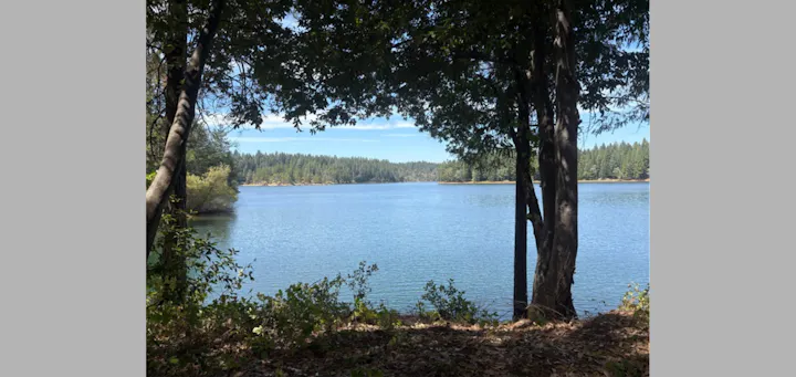 A serene view of a calm lake surrounded by trees and a forested landscape under a clear sky.