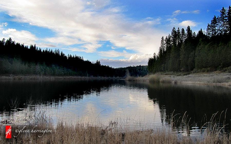 May contain: nature, water, outdoors, plant, fir, abies, and tree