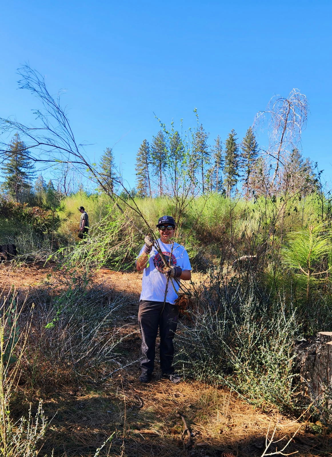 A person in a forested area holds a large branch, wearing gloves and sunglasses, with another person in the background, under a clear blue sky.