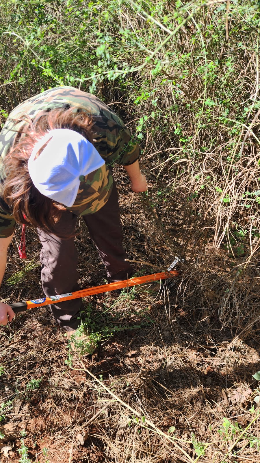 Person in camo shirt and cap cutting bushes with a saw in a wooded area.