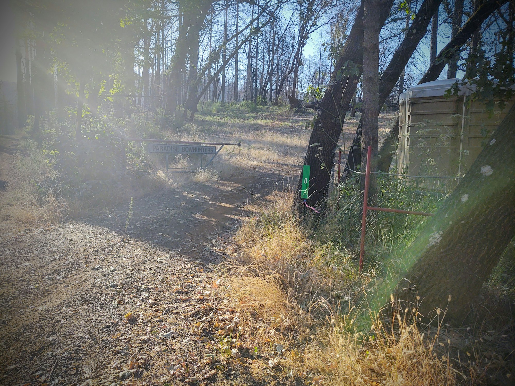 May contain: ground, tree, plant, gravel, road, dirt road, nature, tree trunk, and outdoors