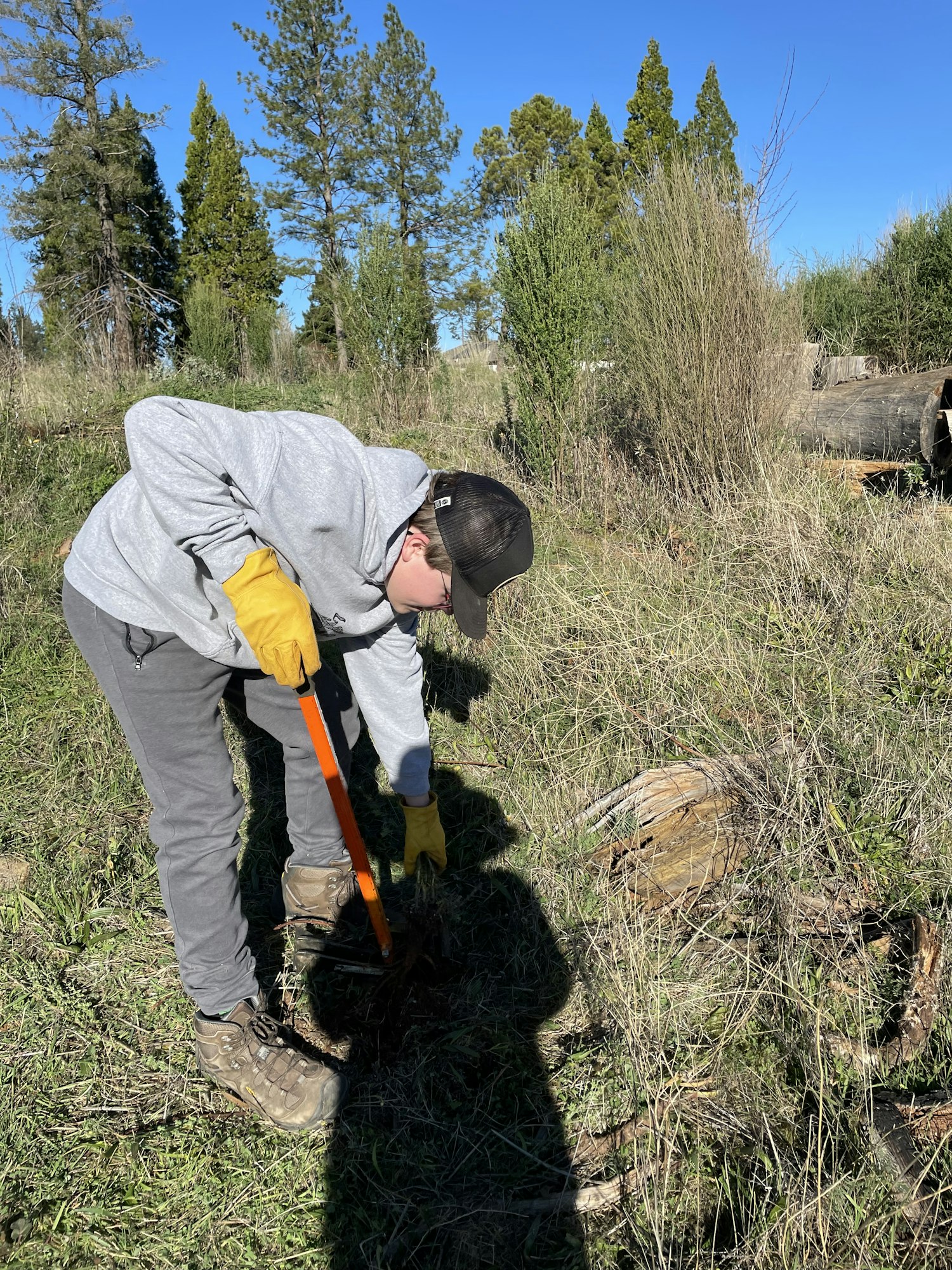 A person is using a tool in a grassy area, likely engaged in outdoor work or gardening, with trees in the background.