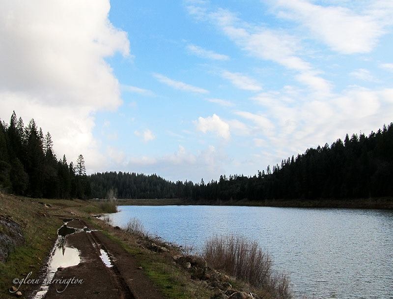 May contain: water, outdoors, nature, reservoir, tree, plant, fir, and abies