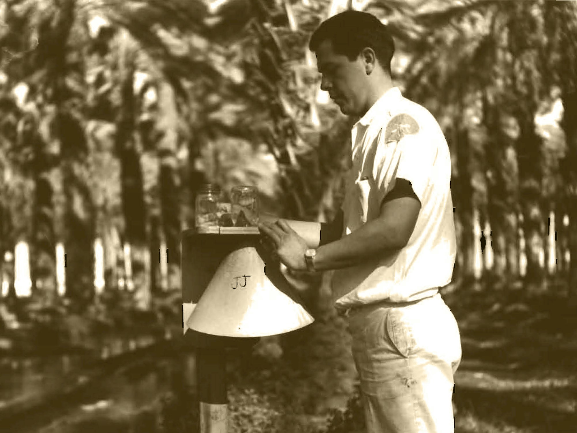 Sepia-toned photograph of a man working outdoors among rows of palm trees. He is wearing a short-sleeved button-up shirt and light-colored pants. The man appears to be inspecting or operating a piece of equipment with a conical cover mounted on a stand. The setting suggests an agricultural or research environment, possibly involving irrigation or pest control.