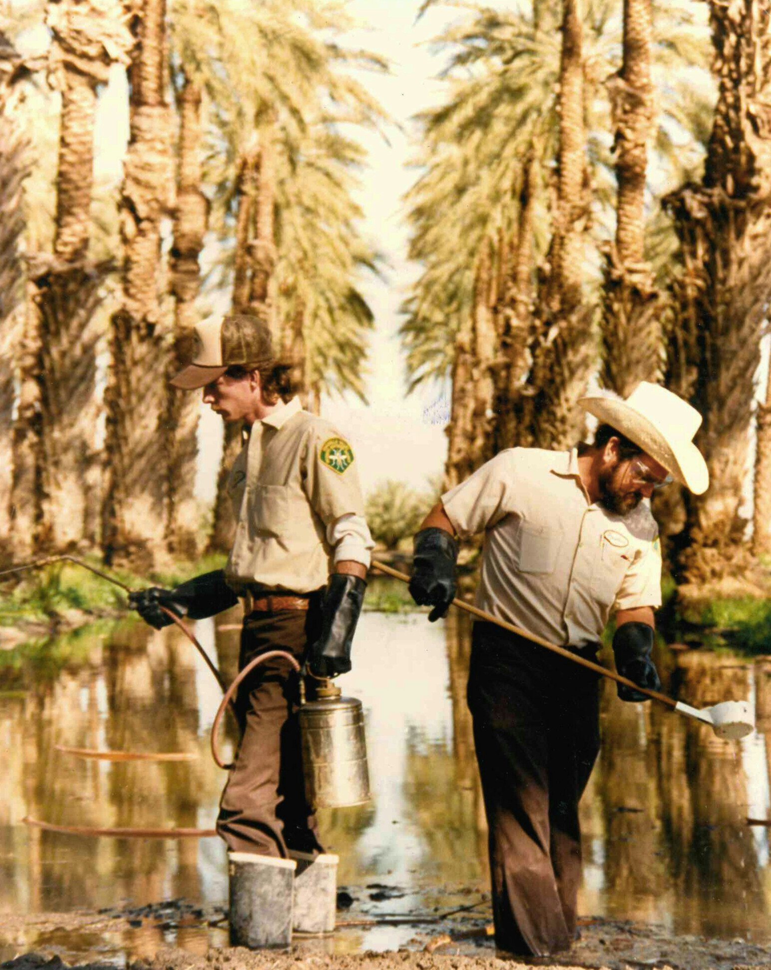 Two men in uniform and gloves work in a palm tree area with water, using tools and a canister.