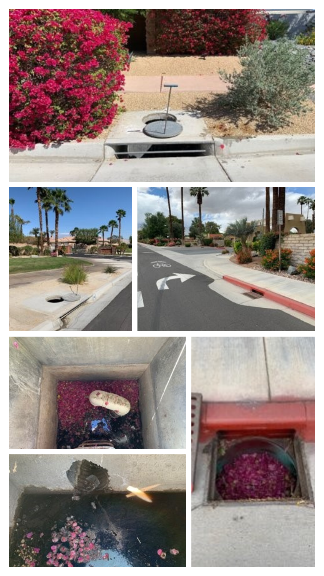 Urban drainage with fallen bougainvillea petals clogging the grates and accumulating inside the drain chambers.