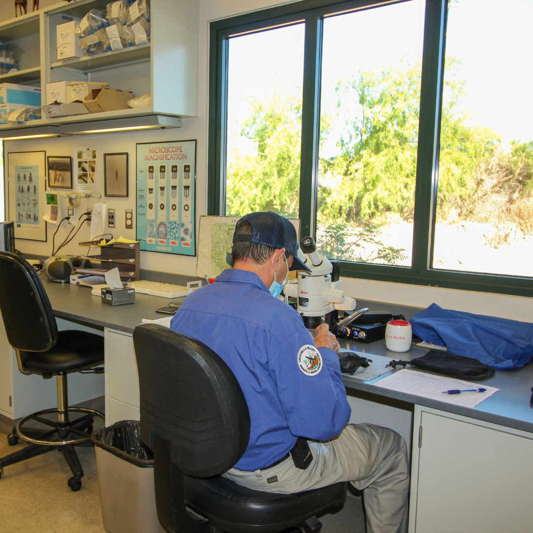 A person is working at a lab desk with a microscope, examining samples in a well-organized workspace with a view outside.